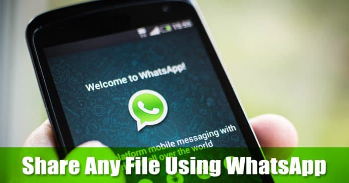 How To Share Almost Any File Using WhatsApp - 17