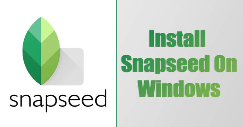 install snapseed on windows 10