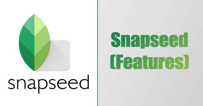 new snapseed photo editing tricks