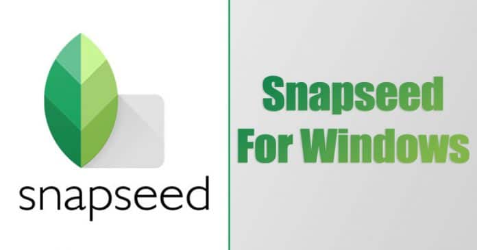 Snapseed For PC - How To Install & Use The App On Windows