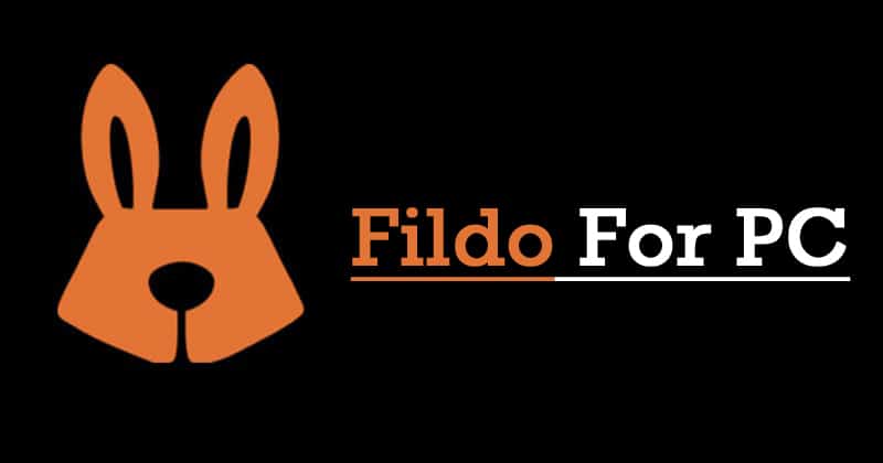 Fildo For PC  How to Download   Install on Windows 10 - 36