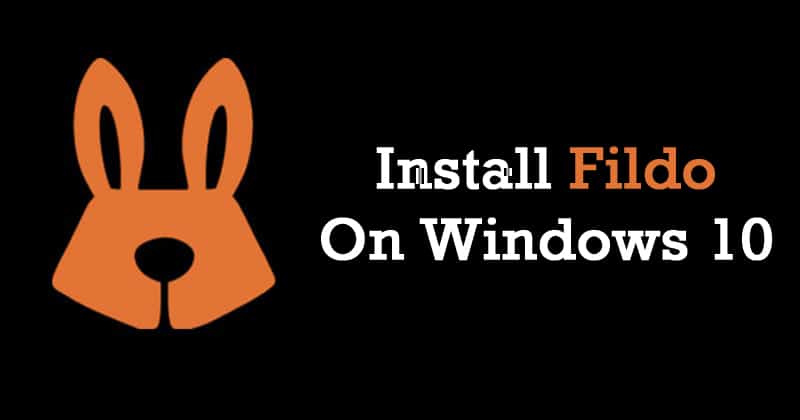 Install Fildo on Windows 10