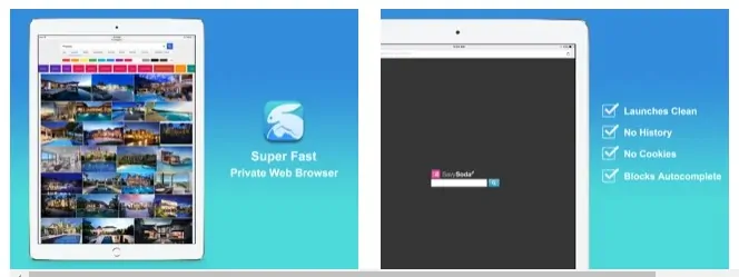 Snowbunny Private Web Browser