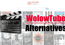 Best WolowTube Alternatives in 2020 [Movie Streaming Sites]