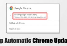 How To Disable Automatic Chrome Updates in Windows 10