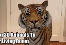 How To Use Android to Bring 3D Animals To Your Living Room