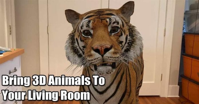 How To Use Android to Bring 3D Animals To Your Living Room