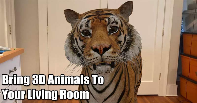 Google 3D Animals: How to see dog, tiger, duck, birds in your living room  on Android, iOS
