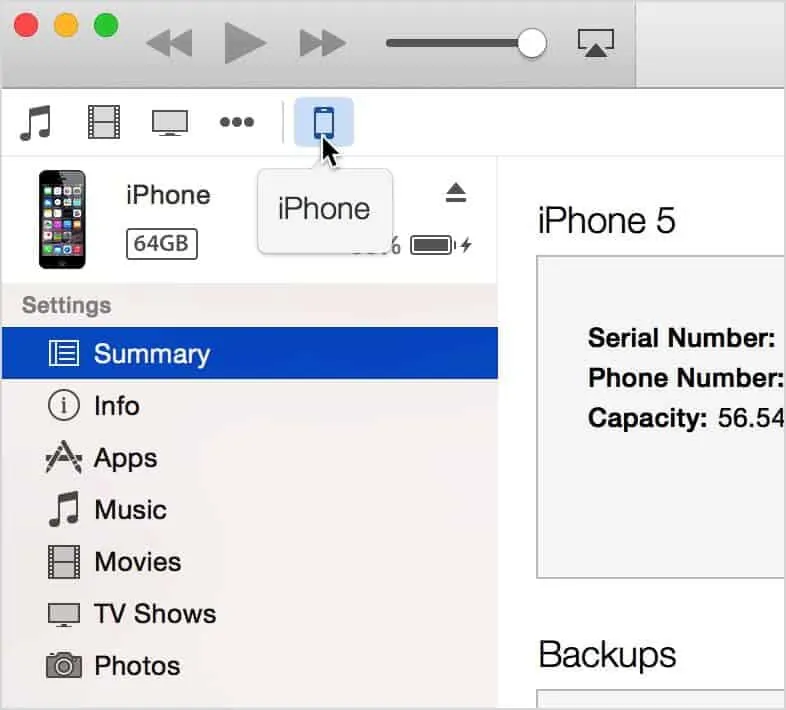 How to Downgrade iOS 14 to iOS 13