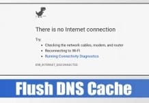 How to Flush DNS Cache In Windows, Linux, & macOS