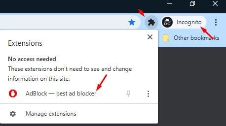 open the Incognito Window and click on the extension icon
