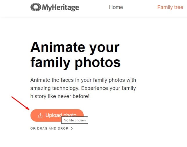 Here s How You Can Animate Your Old Photos for Free  - 18