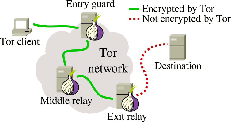 instal the new Tor 12.5.1