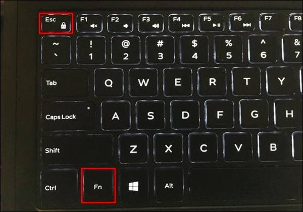 How to Use The Function Keys Without Pressing Fn Key on Windows - 49