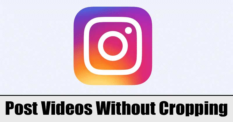 How to Post Whole Video on Instagram Without Cropping - 19