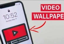 How to Set Video As Wallpaper on iPhone (2 Methods)