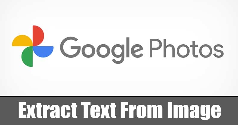 How to Copy Text From Images in Google Photos