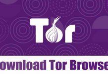 Download Tor Browser (Offline Installer)