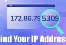 How to Find Your Public & Local IP Address (Windows & Mac)