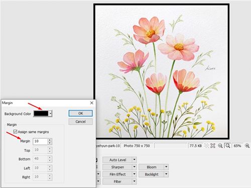 How to Add Borders to Images in Windows  Free Methods  - 95