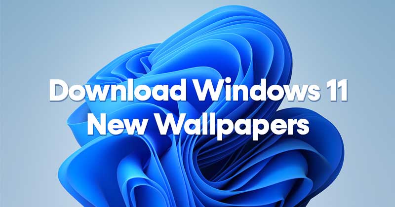 Download the New Windows 11 Wallpapers on PC/Laptop (7 Backgrounds)