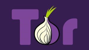 download tor browser mac for pc