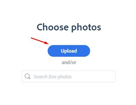 choose photos