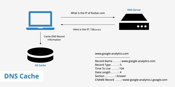 Controllare la cache DNS