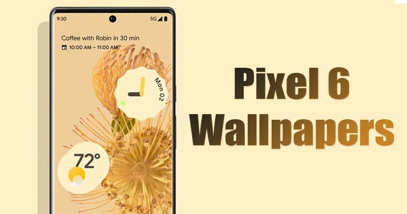 Download the Pixel 6 Wallpapers On Your Smartphone (FHD+ Resolution)