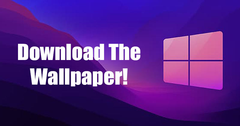 Here's How to Download Windows 11 SE Wallpaper