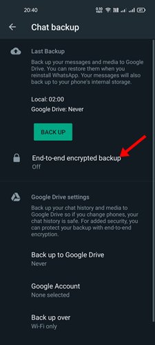 tap on the End-to-end encrypted backup