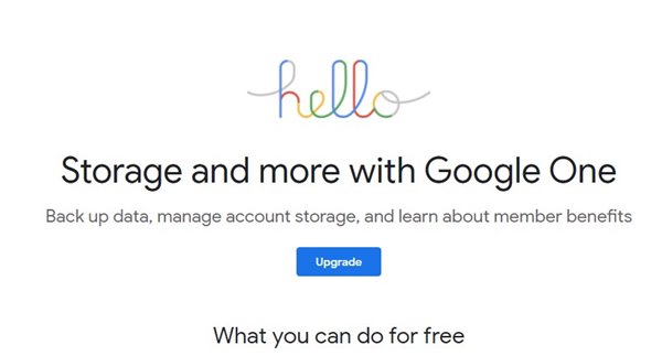 Google One Storage Management Tool