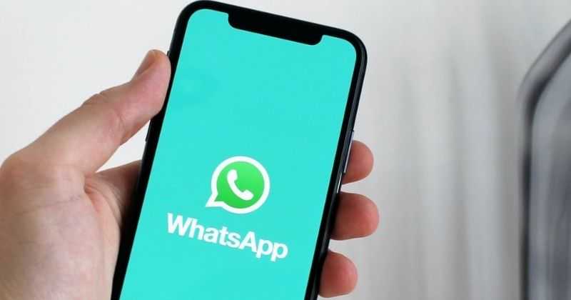 Novo amigo em busca de golpes de WhatsApp