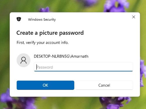 How to Set Up a Picture Password in Windows 11 - 44