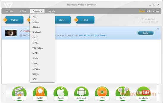 What is Freemake Video Converter?