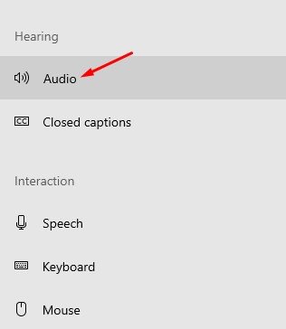 click on the Audio option