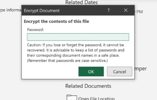 How to Password Protect Excel Files in Windows - 61