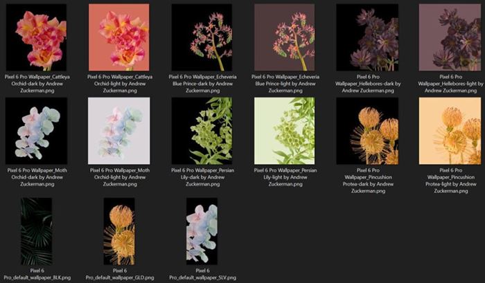 Bloom Wallpapers