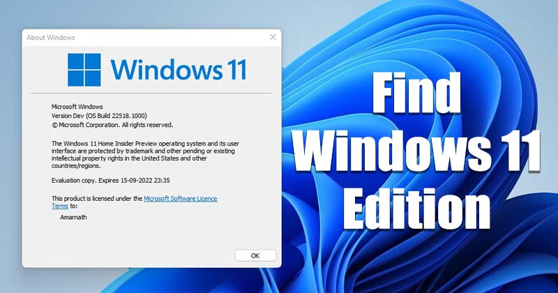 How to Check Windows 11 Edition (5 Methods)