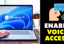 How to Enable Voice Access Feature in Windows 11