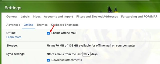 check the 'Enable offline mail' check box
