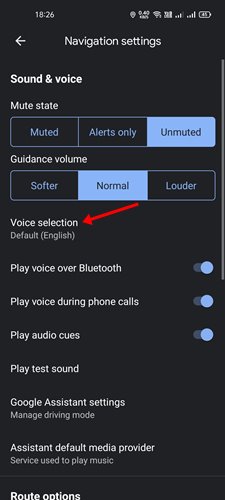 tap on the Voice selection option
