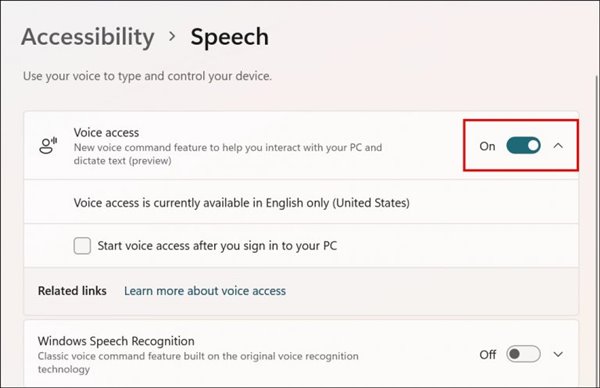 enable the toggle button for 'Voice Access'