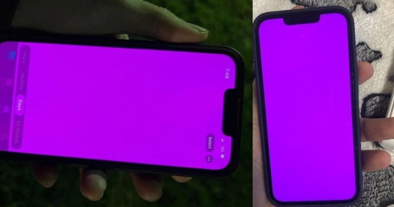 iPhone 13 Software Bug Causes Pink Screen Issues, Here's How to Fix It
