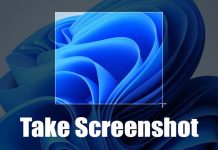 How to Take Screenshots on Windows 11 (7 Best Methods)