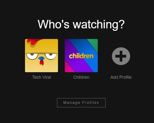 Netflix profil