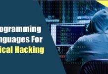 10 Best Programming Languages For Ethical Hacking in 2022