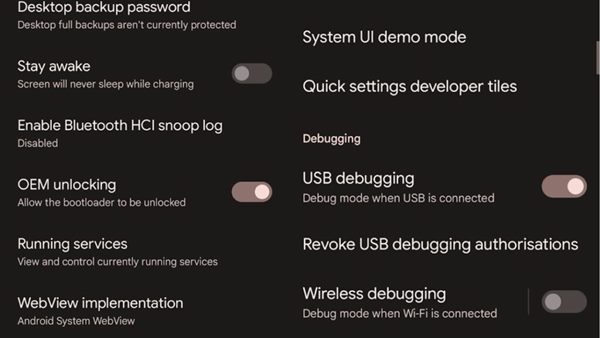 Enable USB Debugging & OEM Unlocking