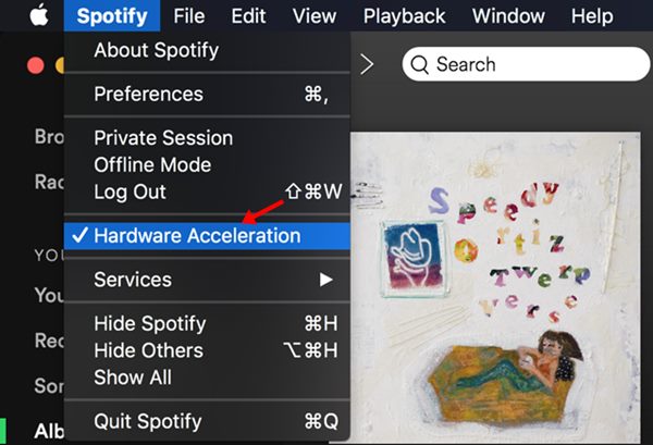 macOS'ta Spotify Donanım Hızlandırmasını Etkinleştir