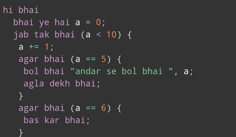 Bro-Code and Memes in Programming Language